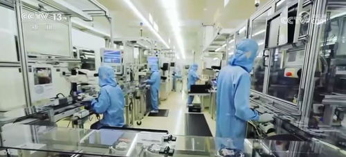 引資質量提升，科技成果轉化服務領域引資漲幅超50%，生物技術推廣服務成亮點