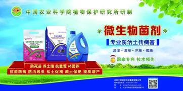 中國(guó)農(nóng)科院植保所土傳病害防治專家助力中保集團(tuán)微生物菌劑技術(shù)推廣
